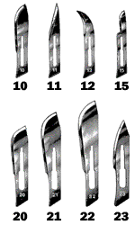 Surgical Blades