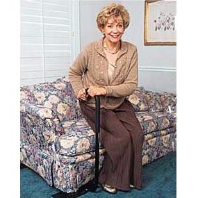 Couchcane #2001