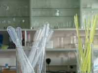 Pipette, plastic 3ml  500/box